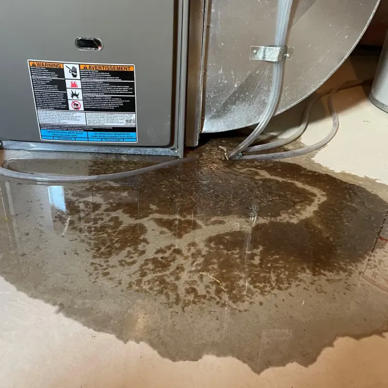 Appliance Leak Cleanup in Elko, NV